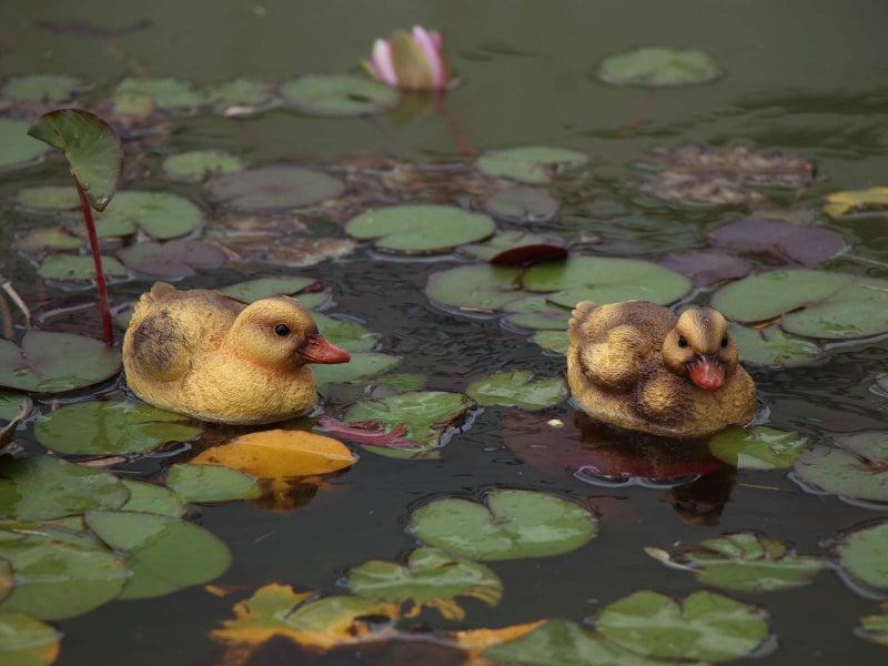 Rmdusk Floating Resin Duck Figurine Pond DÃ©cor Garden Lawn Patio Outdoor Statue Black Yellow (Set of 2) - Image 4